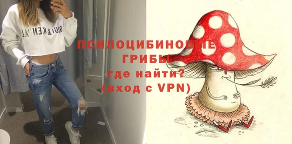ГАЛЛЮЦИНОГЕННЫЕ ГРИБЫ Лихославль