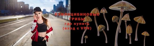 гашик Липки