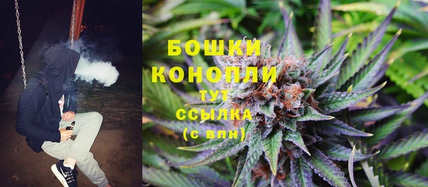 гашик Липки