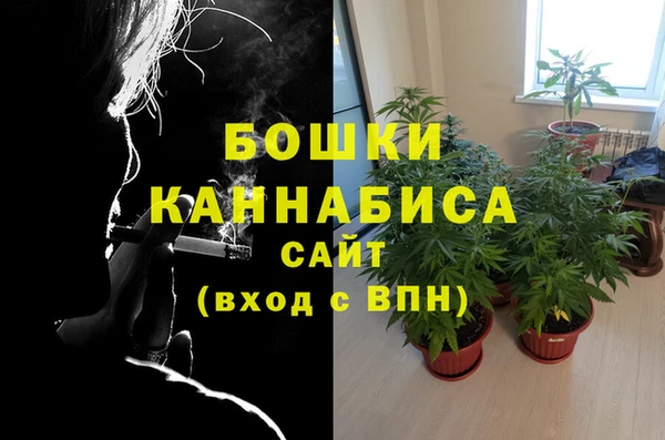 ГАЛЛЮЦИНОГЕННЫЕ ГРИБЫ Лихославль