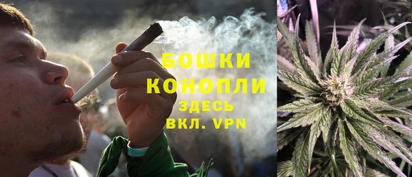 ГАЛЛЮЦИНОГЕННЫЕ ГРИБЫ Лихославль